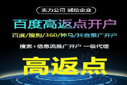 竞价广告的投放策略调整：基于数据反馈的实战案例
